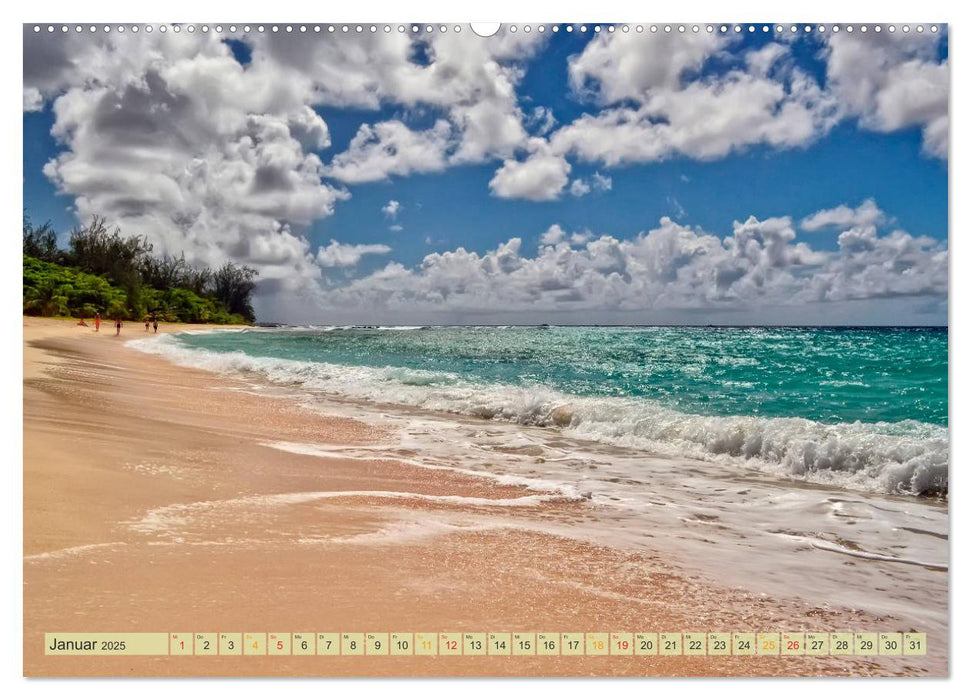 Die kleinen Antillen - Barbados (CALVENDO Premium Wandkalender 2025)