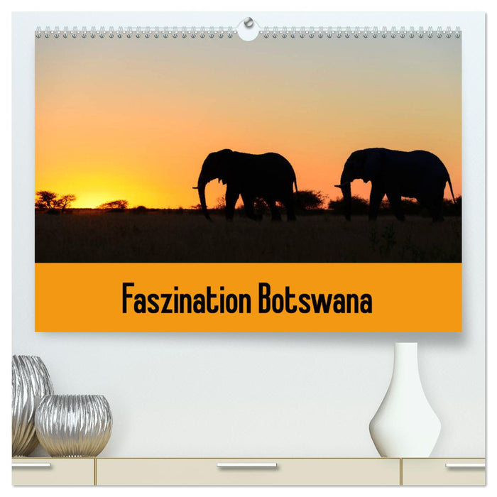 Faszination Botswana (CALVENDO Premium Wandkalender 2025)