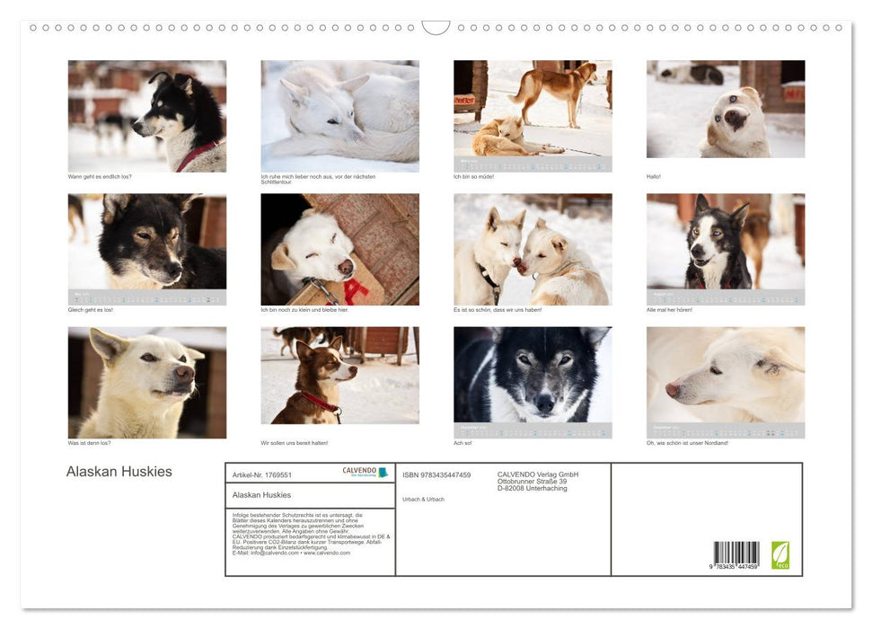 Alaskan Huskies (CALVENDO Wandkalender 2025)