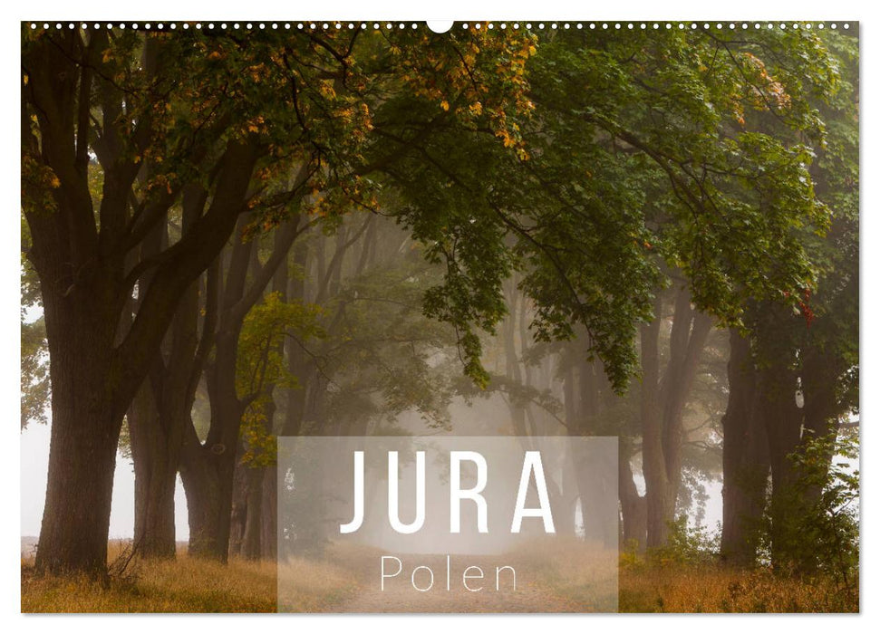 Jura. Polen (CALVENDO Wandkalender 2025)