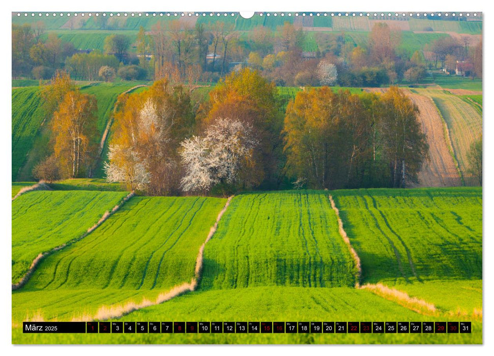 Jura. Polen (CALVENDO Wandkalender 2025)