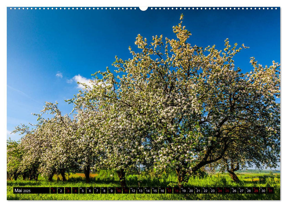 Jura. Polen (CALVENDO Wandkalender 2025)