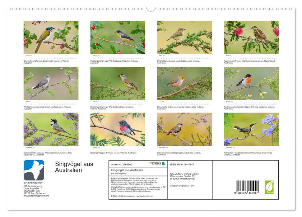 Singvögel aus Australien (CALVENDO Premium Wandkalender 2025)