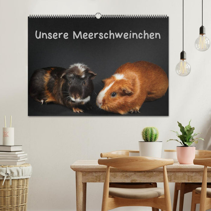 Unsere Meerschweinchen (CALVENDO Wandkalender 2025)