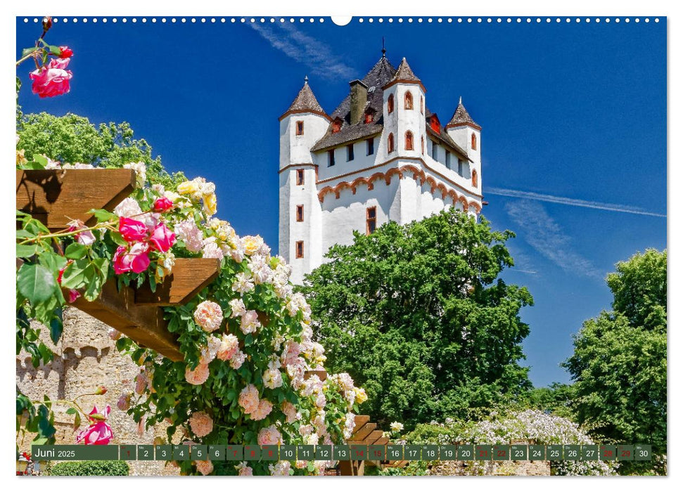 Eltville am Rhein - Wein, Sekt, Rosen (CALVENDO Premium Wandkalender 2025)