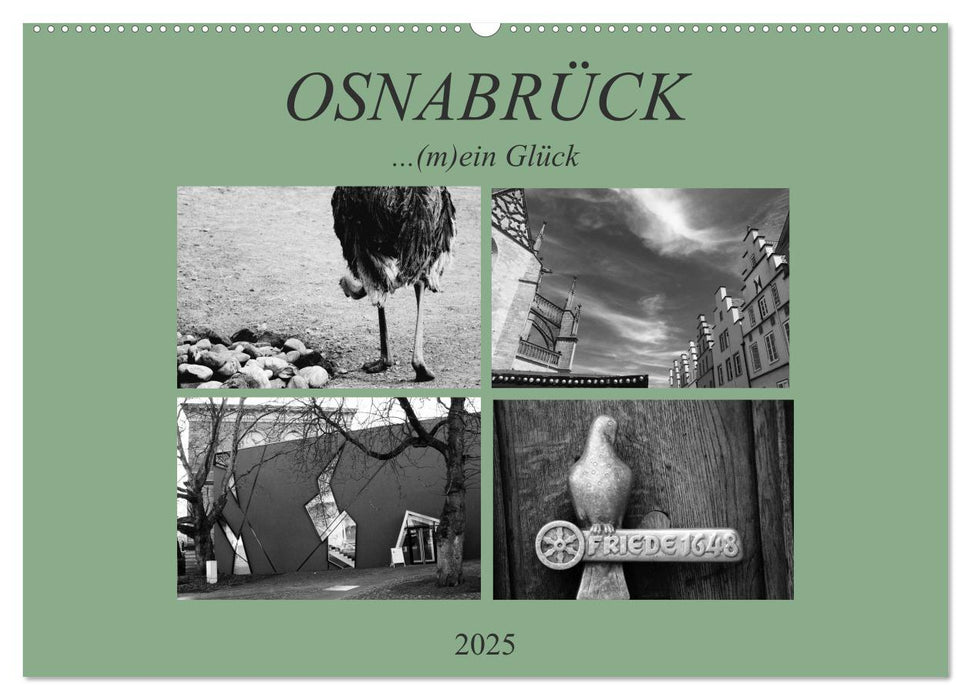 Osnabrück ...(m)ein Glück (CALVENDO Wandkalender 2025)