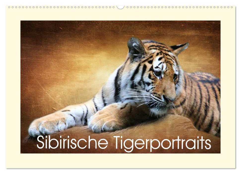 Sibirische Tigerportraits (CALVENDO Wandkalender 2025)