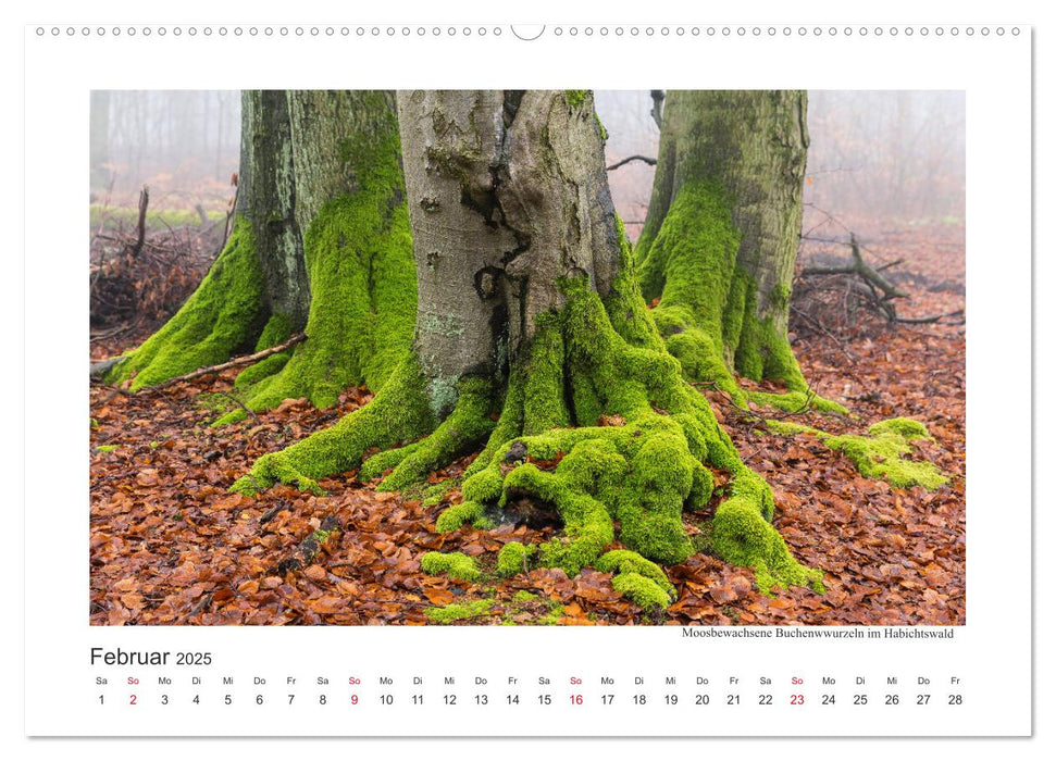 Kasseler Landschaften (CALVENDO Premium Wandkalender 2025)