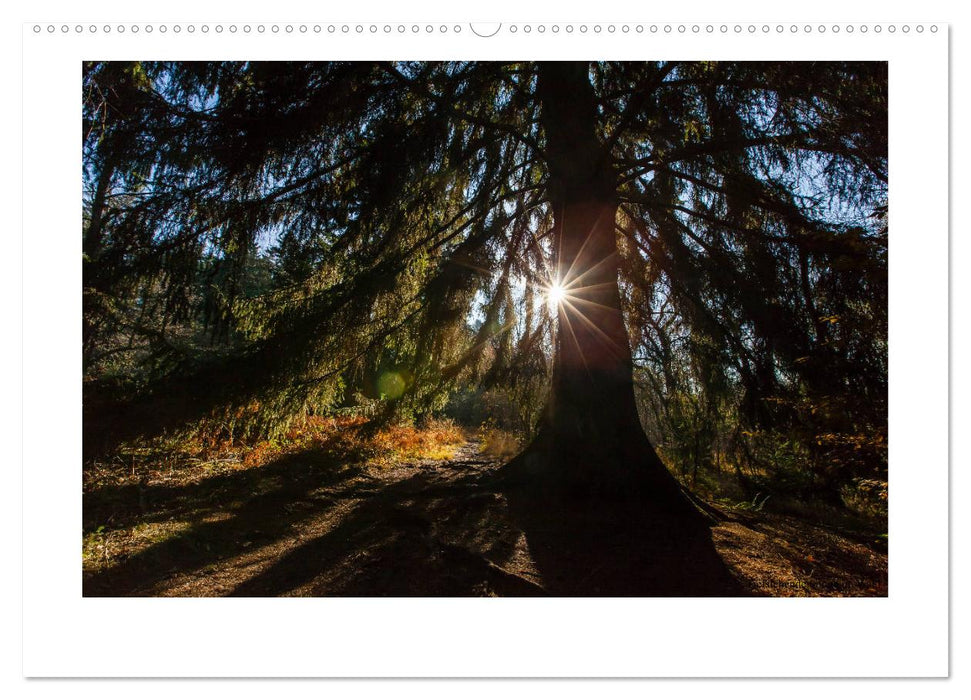 Kasseler Landschaften (CALVENDO Premium Wandkalender 2025)