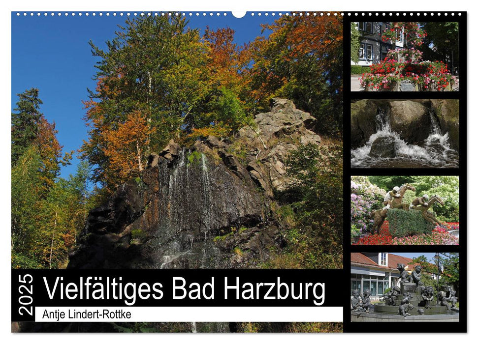 Vielfältiges Bad Harzburg (CALVENDO Wandkalender 2025)