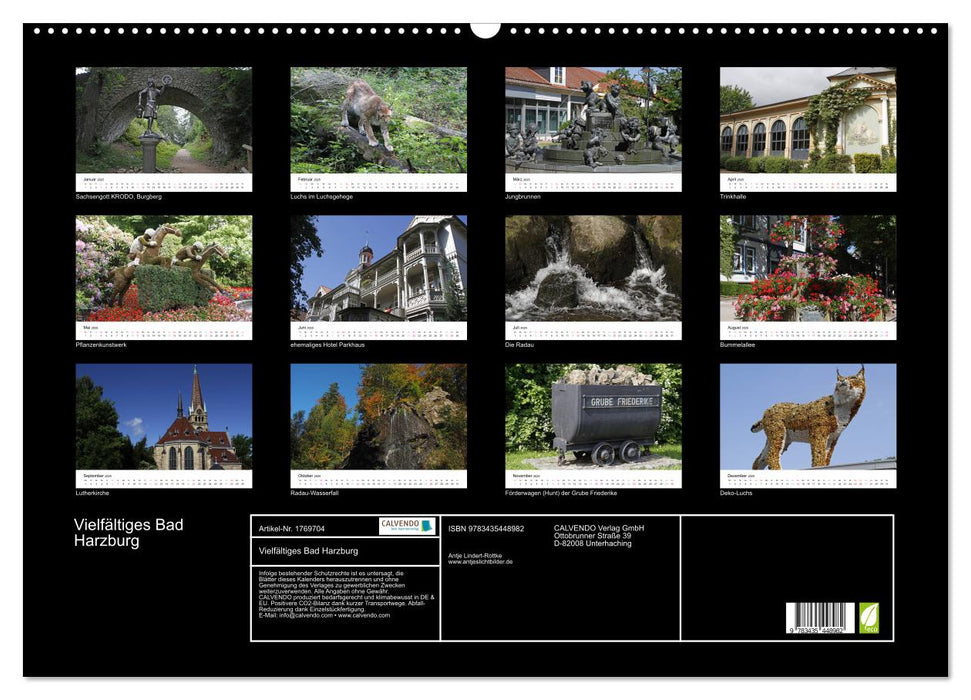 Vielfältiges Bad Harzburg (CALVENDO Wandkalender 2025)
