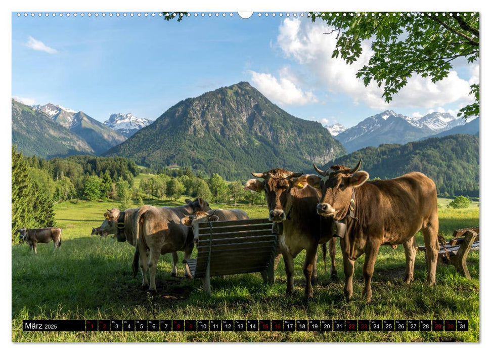 das Allgäu (CALVENDO Premium Wandkalender 2025)