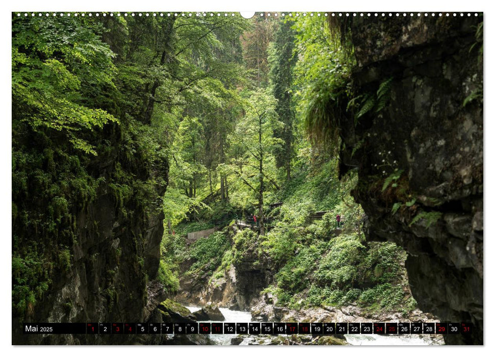 das Allgäu (CALVENDO Premium Wandkalender 2025)