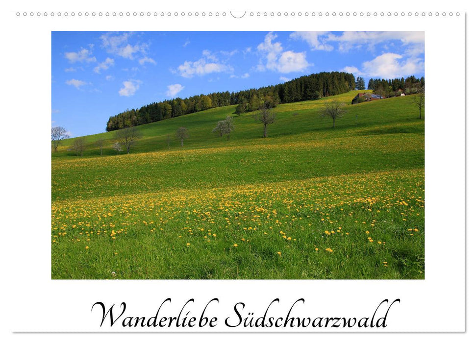 Wanderliebe Südschwarzwald (CALVENDO Wandkalender 2025)