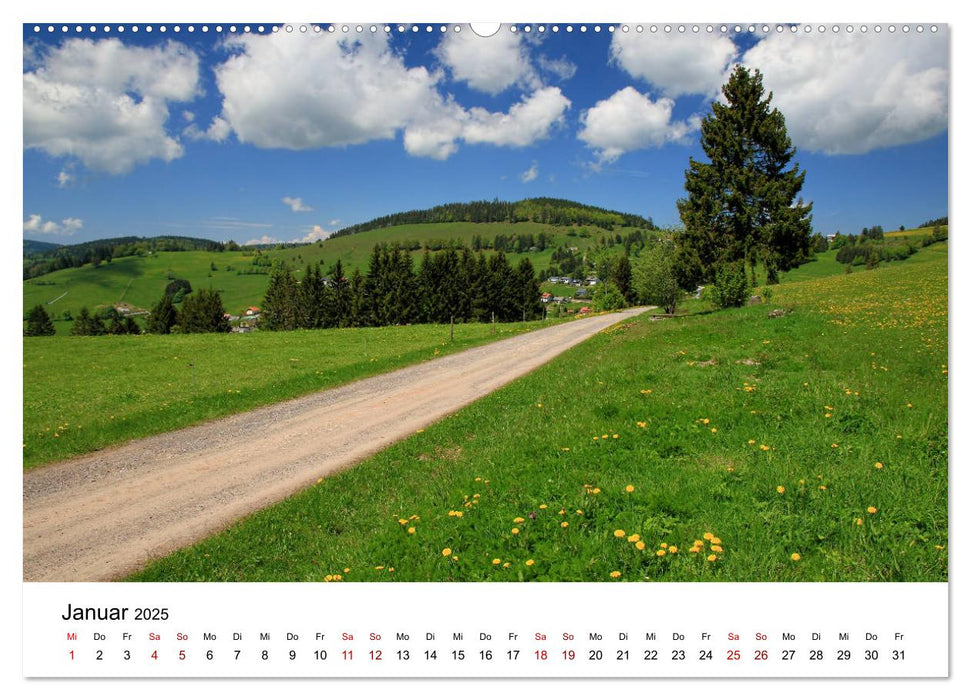 Wanderliebe Südschwarzwald (CALVENDO Wandkalender 2025)