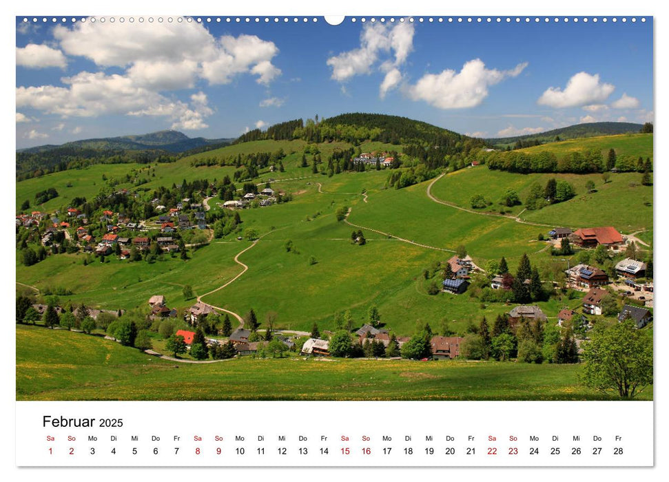 Wanderliebe Südschwarzwald (CALVENDO Wandkalender 2025)