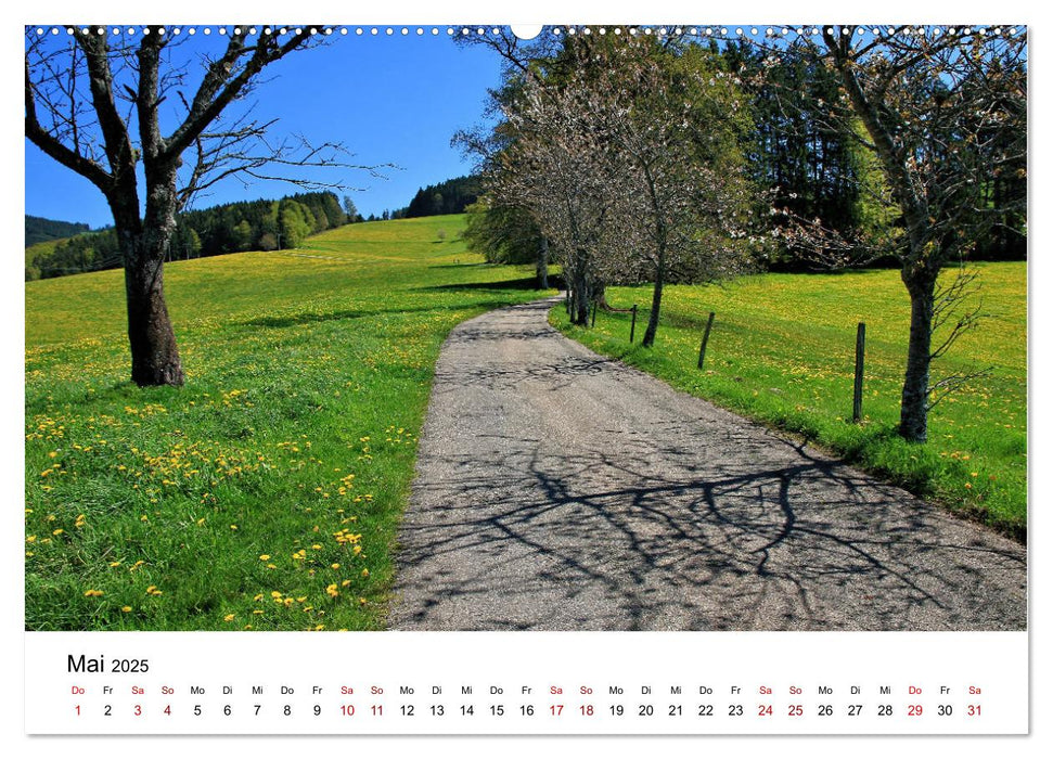 Wanderliebe Südschwarzwald (CALVENDO Wandkalender 2025)