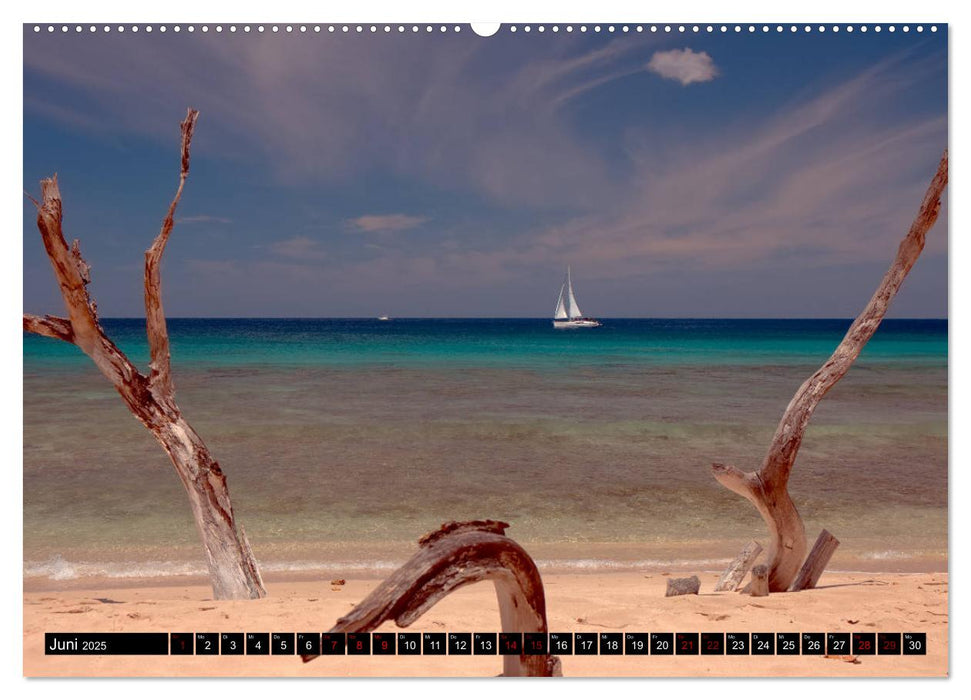 Barbados (CALVENDO Premium Wandkalender 2025)