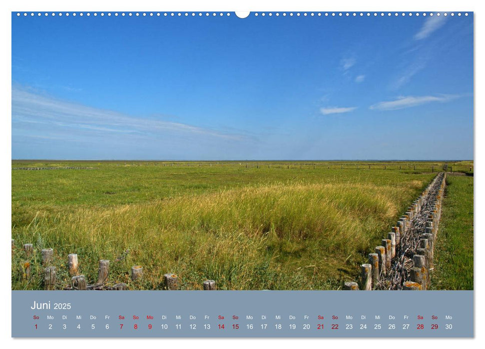 Westerhever (CALVENDO Premium Wandkalender 2025)