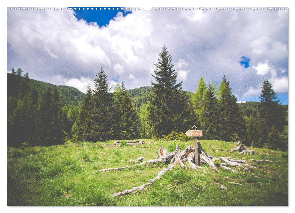 Ein Frühling in Kärnten (CALVENDO Premium Wandkalender 2025)