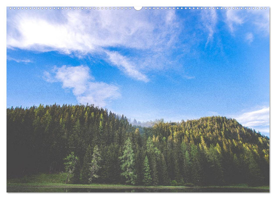 Ein Frühling in Kärnten (CALVENDO Premium Wandkalender 2025)