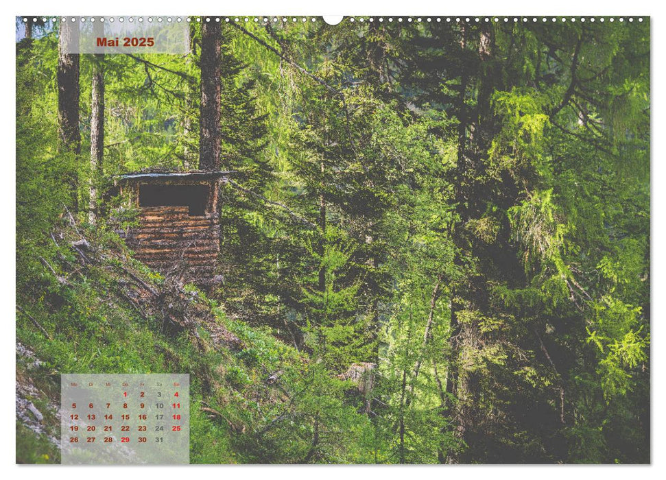 Ein Frühling in Kärnten (CALVENDO Premium Wandkalender 2025)