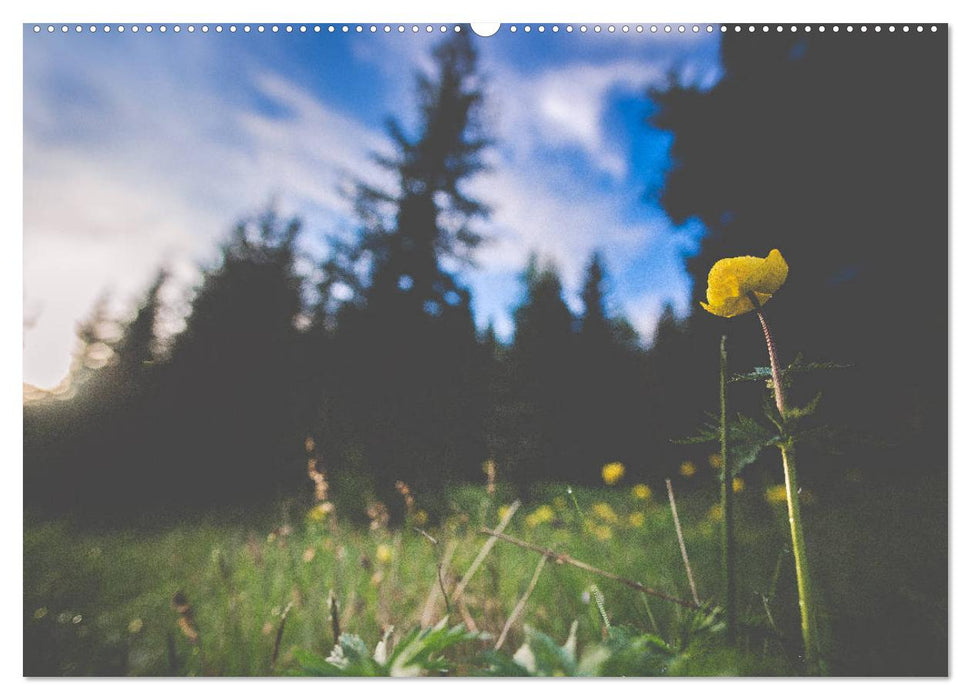 Ein Frühling in Kärnten (CALVENDO Premium Wandkalender 2025)