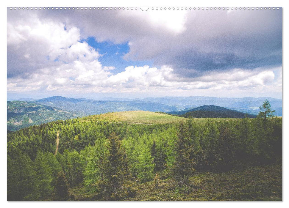 Ein Frühling in Kärnten (CALVENDO Premium Wandkalender 2025)