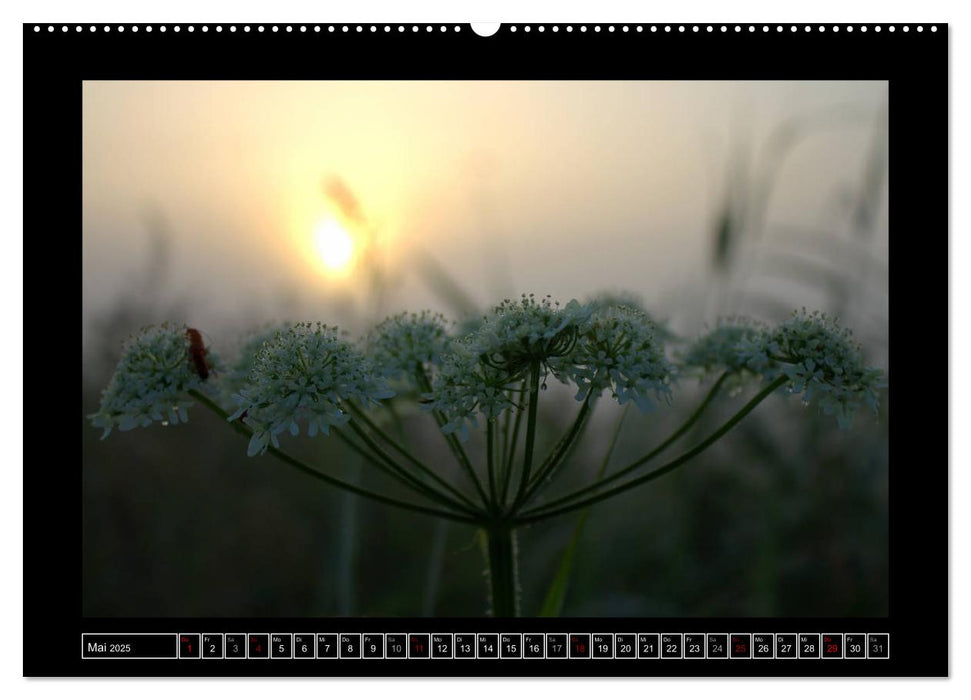 Lichtlandschaft Worpswede (CALVENDO Wandkalender 2025)