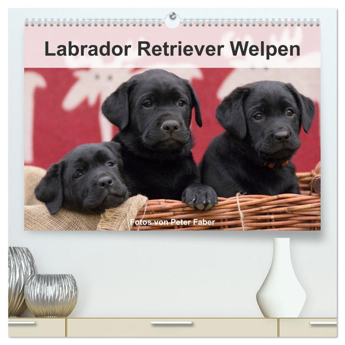 Labrador Retriever Welpen (CALVENDO Premium Wandkalender 2025)