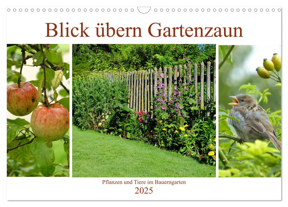 Blick übern Gartenzaun (CALVENDO Wandkalender 2025)