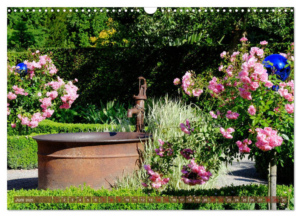 Blick übern Gartenzaun (CALVENDO Wandkalender 2025)