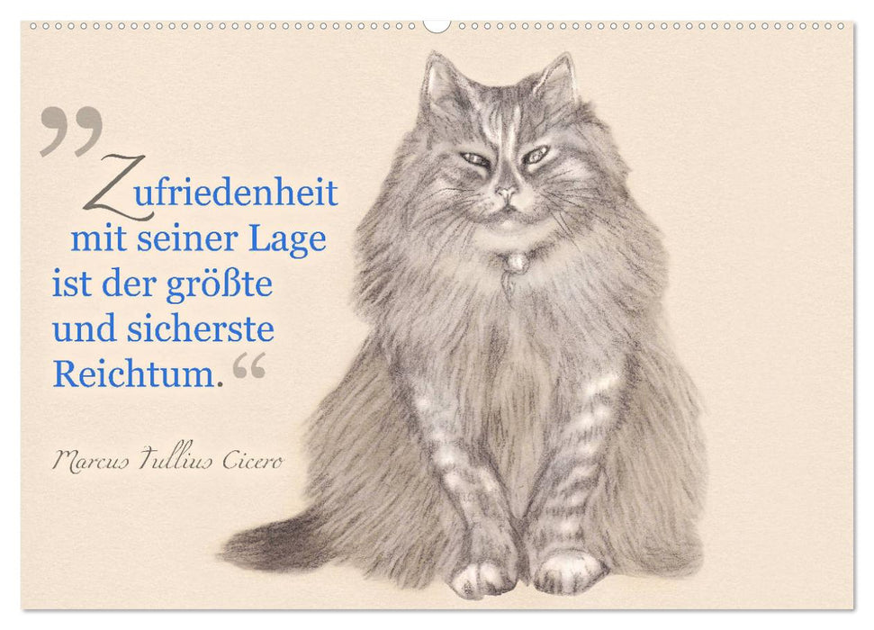 Von Katzen lernen (CALVENDO Premium Wandkalender 2025)