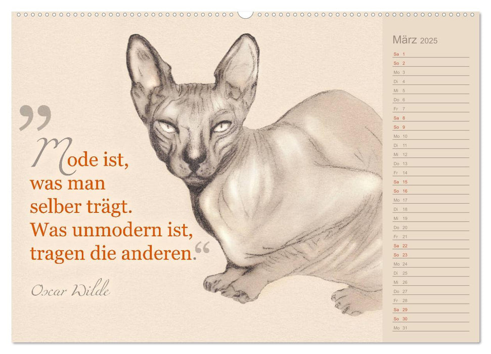 Von Katzen lernen (CALVENDO Premium Wandkalender 2025)