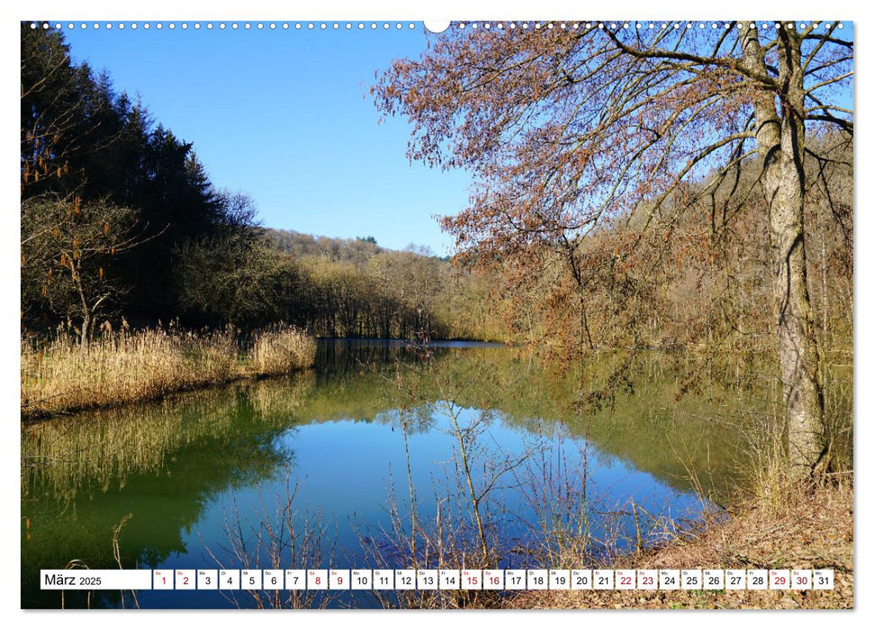 Hardheim und Umgebung (CALVENDO Wandkalender 2025)