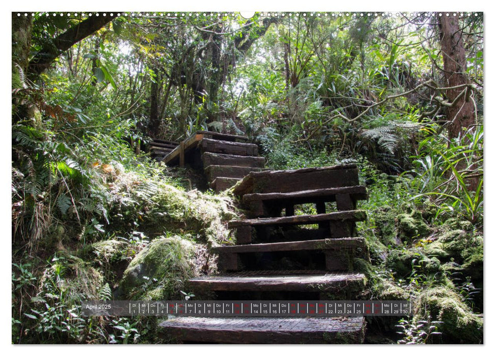 La Réunion - Bergweh ® (CALVENDO Wandkalender 2025)