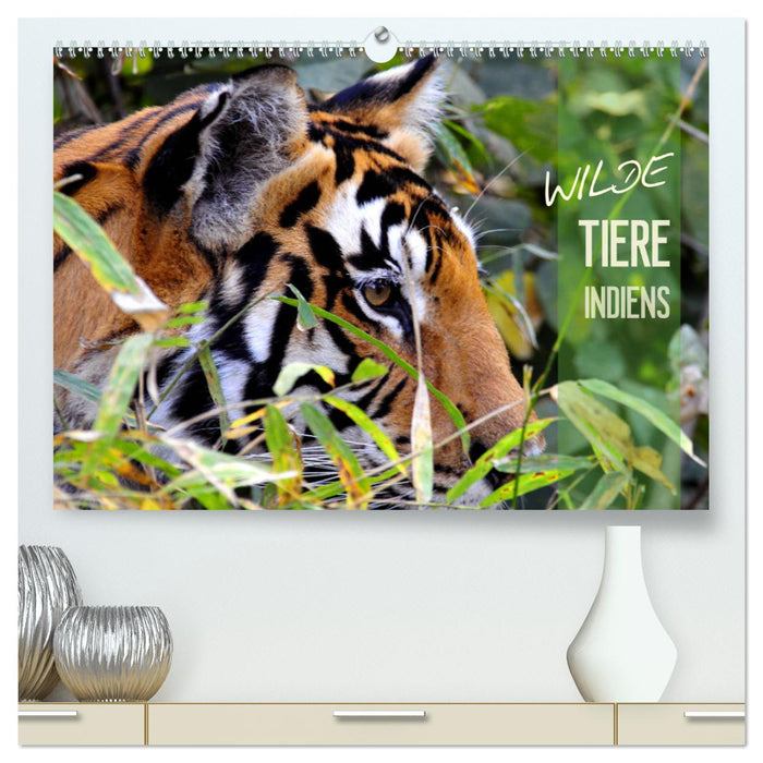 Wilde Tiere Indiens (CALVENDO Premium Wandkalender 2025)