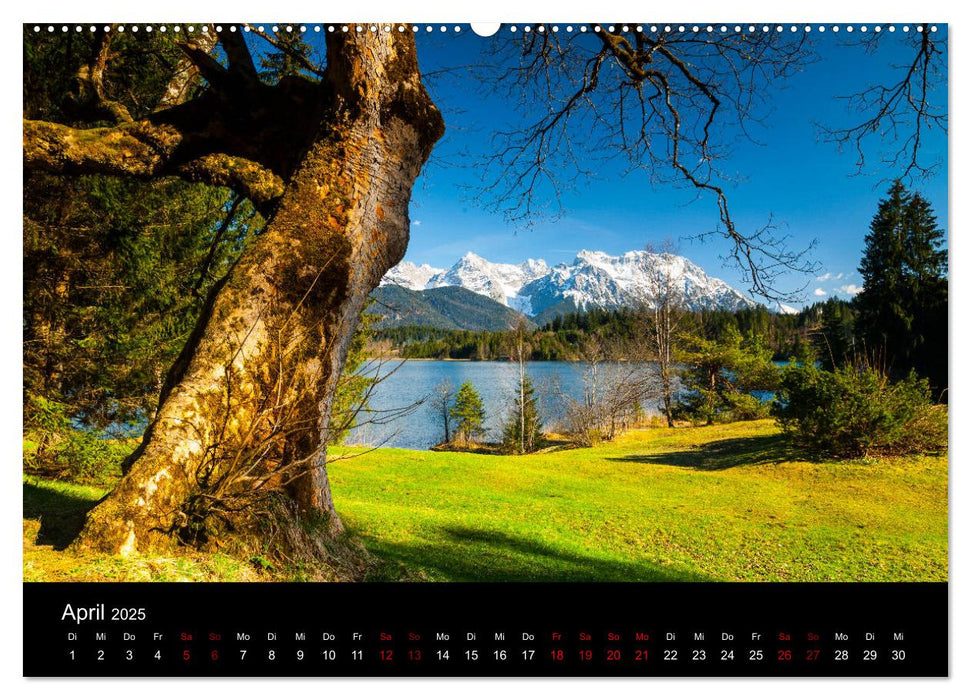 Bayerische Landschaften (CALVENDO Premium Wandkalender 2025)