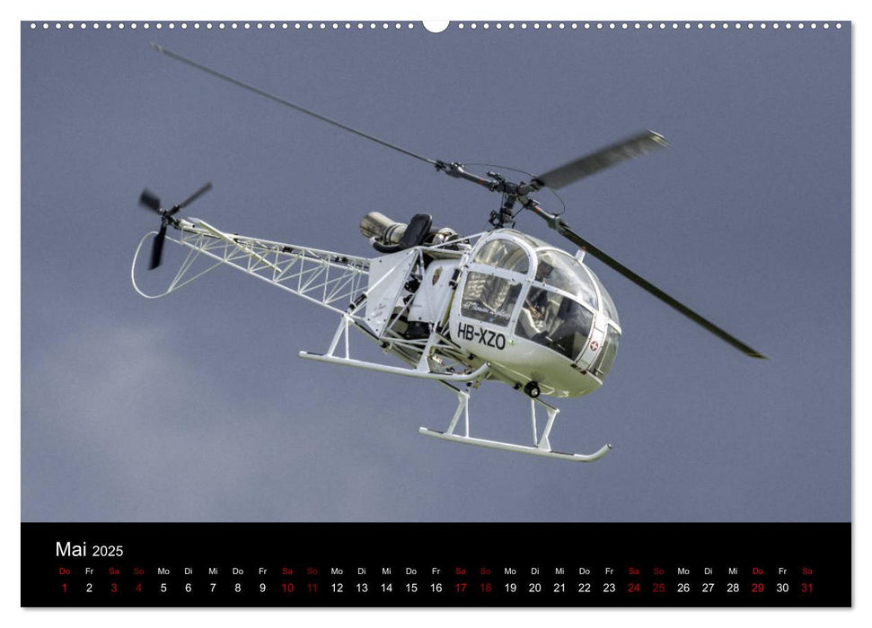 ProWing Nord Impressionen der Flugshow (CALVENDO Premium Wandkalender 2025)