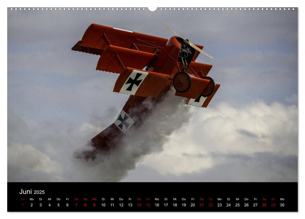 ProWing Nord Impressionen der Flugshow (CALVENDO Premium Wandkalender 2025)