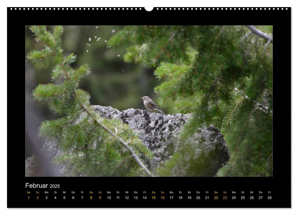 Yellowstone - Wunder der Natur (CALVENDO Wandkalender 2025)