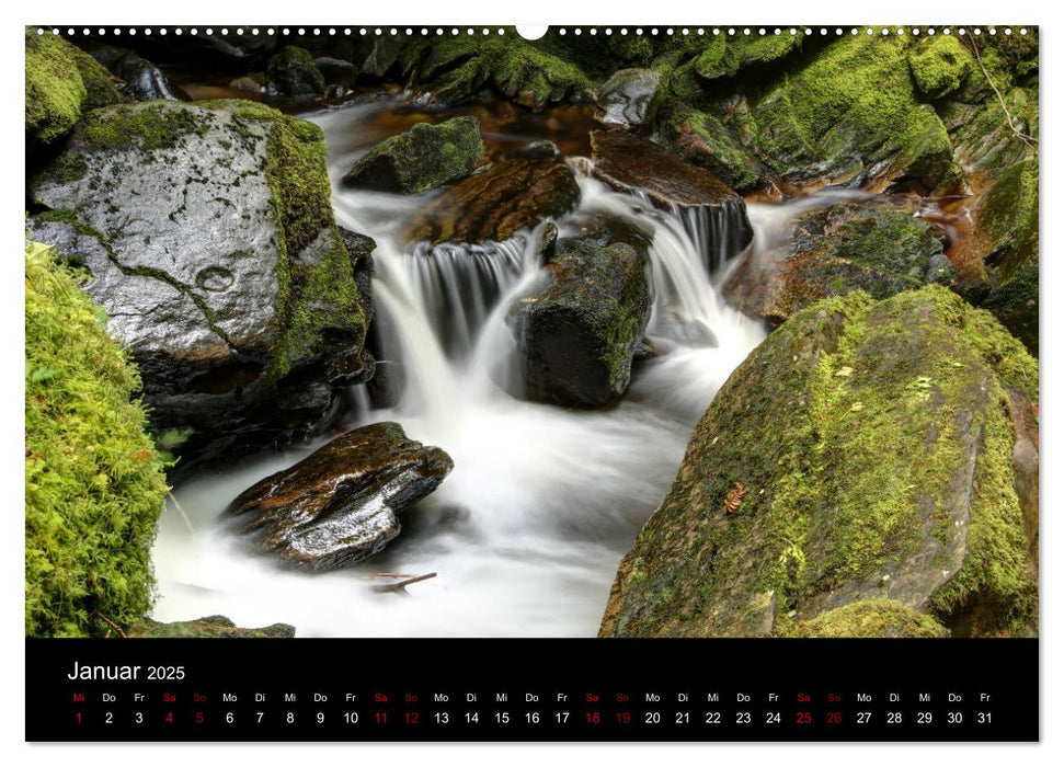 Irland - Rauhe Küste und Wilde Natur (CALVENDO Premium Wandkalender 2025)