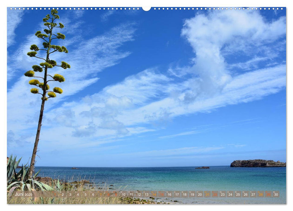 Costa Vicentina (CALVENDO Premium Wandkalender 2025)