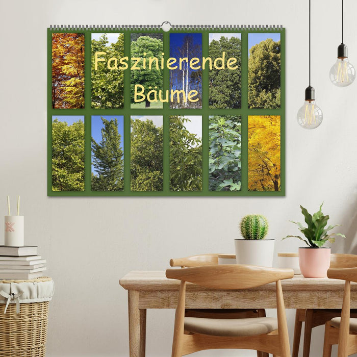 Faszinierende Bäume (CALVENDO Wandkalender 2025)