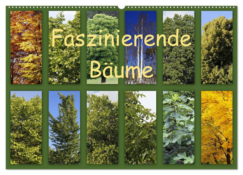 Faszinierende Bäume (CALVENDO Wandkalender 2025)