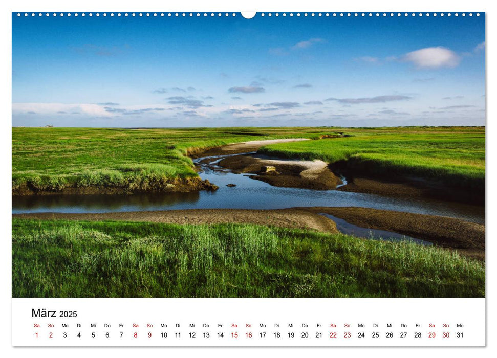 Sankt Peter-Ording. Licht, Schatten und Natur (CALVENDO Premium Wandkalender 2025)