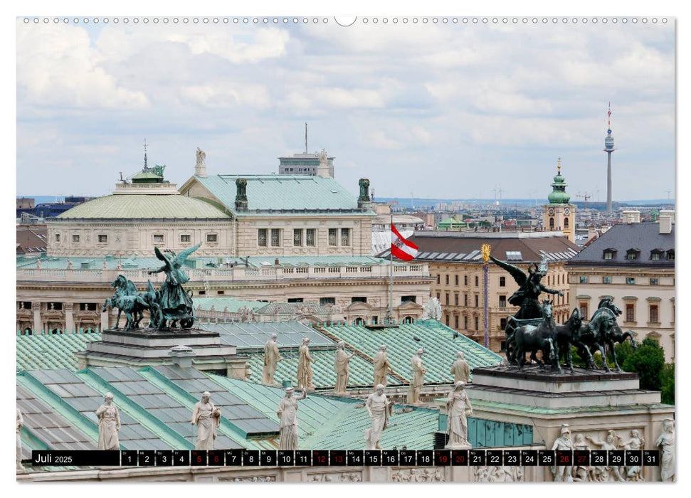 WIEN von oben (CALVENDO Premium Wandkalender 2025)