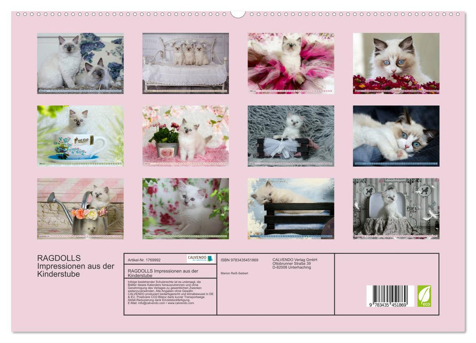 RAGDOLLS Impressionen aus der Kinderstube (CALVENDO Premium Wandkalender 2025)