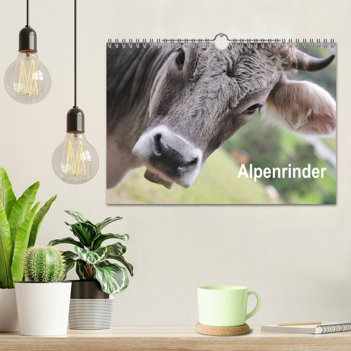 Alpenrinder (CALVENDO Wandkalender 2025)