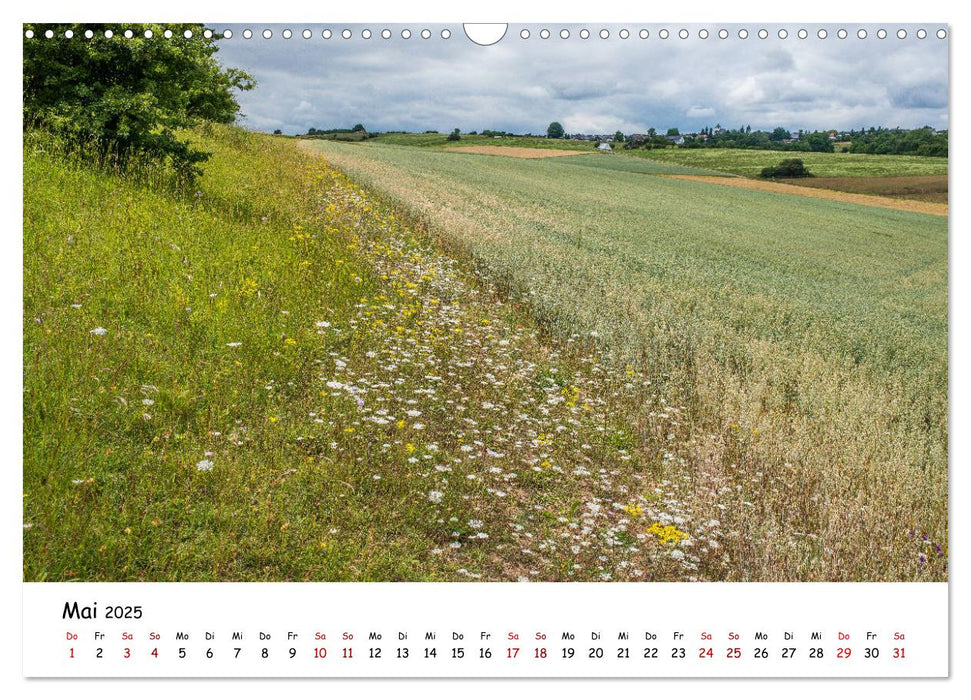 Die Eifel - Orte und Landschaften (CALVENDO Wandkalender 2025)